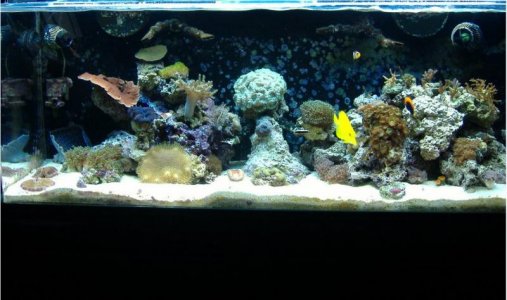 fts resize 1-3-10.jpg
