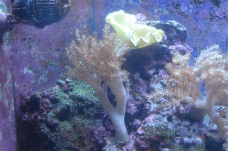 DSC04012 (Medium).JPG