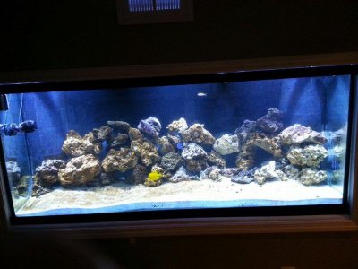 908951_10151610433582743_1660652106_n (1).jpg