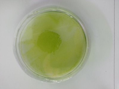 20130416_183305.jpg
