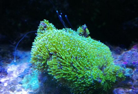 WP_20130415_001.jpg