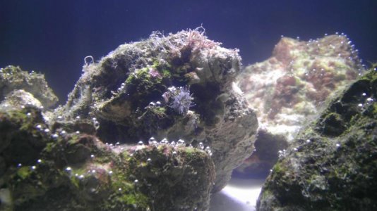IMAG0329.jpg