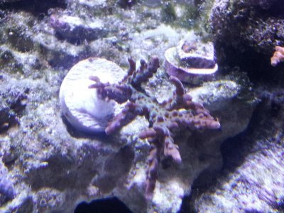 CameraZOOM-20130417172513260.jpg