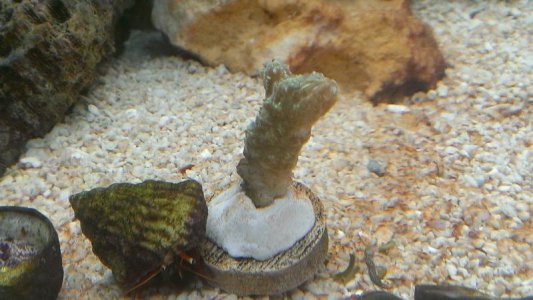 IMAG0295.jpg
