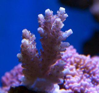 DSC09056.jpg