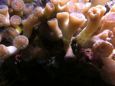 IMG_2635.jpg