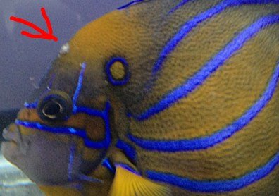 ImageUploadedByTapatalk 21368221834.883385.jpg