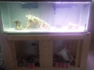 facebook_2099616889.jpg