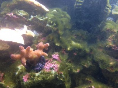 photo-1.jpg