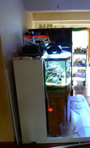 5-11-2013 Current Setup Facing South WEB.jpg