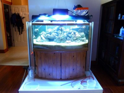 5-11-2013 Current Setup Facing East WEB.jpg