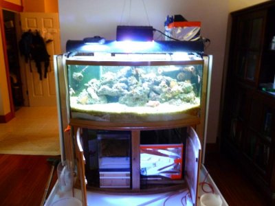 5-11-2013 Current Setup and Sumps WEB.jpg