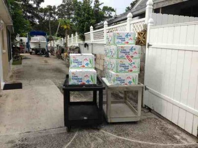 ImageUploadedByTapatalk 21368371692.568066.jpg