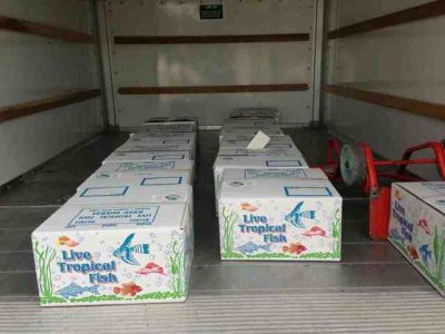 ImageUploadedByTapatalk 21368371800.933978.jpg