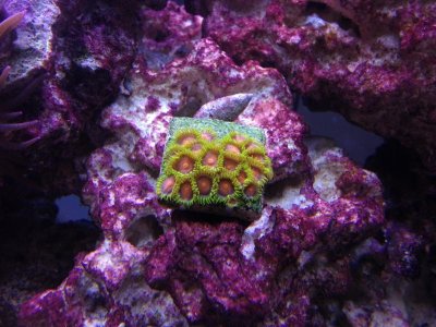 photo 2 (1).jpg