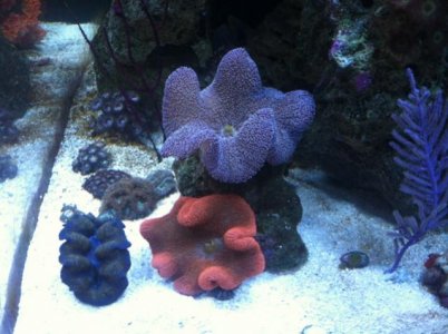 moms  camera 001.jpg