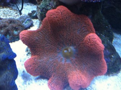 moms  camera 002.jpg