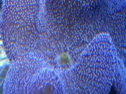 moms  camera 003.jpg