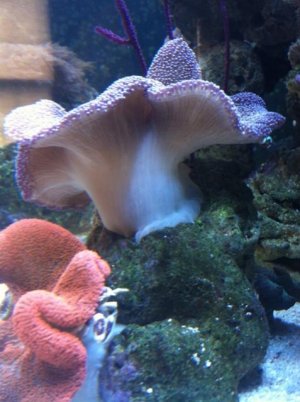 moms  camera 005.jpg