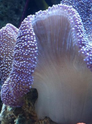 moms  camera 006.jpg