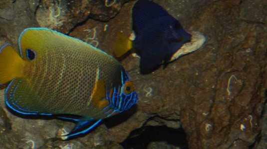 ImageUploadedByTapatalk HD1368500359.880473.jpg