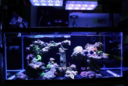 2013 - April (5).jpg