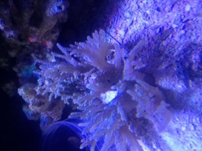 photo (3).jpg