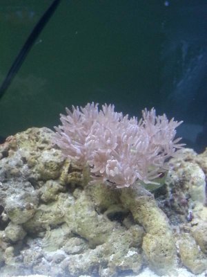 20130503_163815.jpg