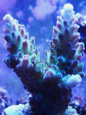 20130425_200035.jpg