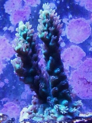 20130425_200013.jpg