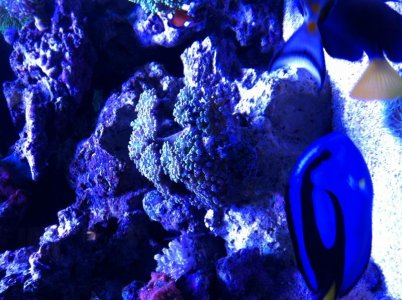 IMG_0365[1].jpg
