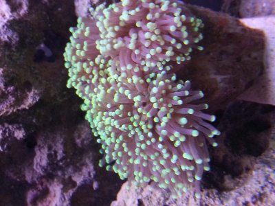 20130426_133013.jpg