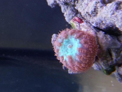 20130426_133241.jpg