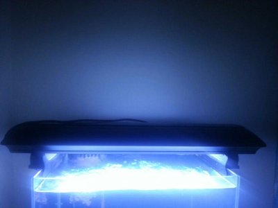 uploadfromtaptalk1368670648080.jpg uploadfromtaptalk1368670648080.jpg