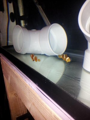 20130516_111200.jpg