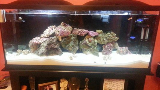 20130424_182449[1].jpg