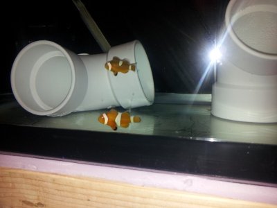 20130516_111205.jpg