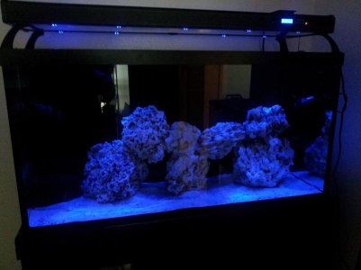 20130516_110606.jpg