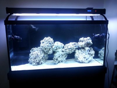 20130516_110619.jpg