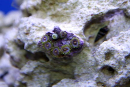 IMG_6932.jpg