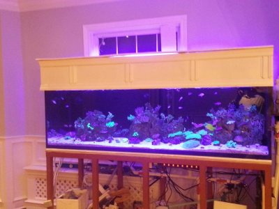2013-04-28 20.52.14.jpg