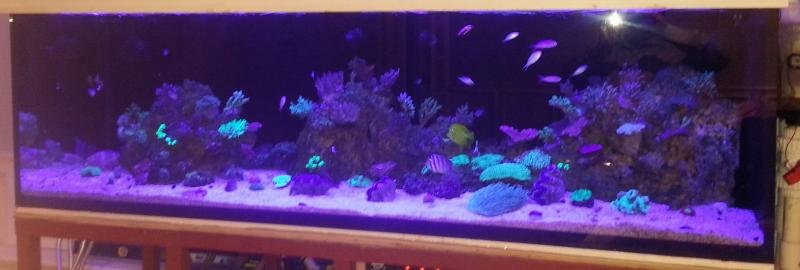 2013-04-28 20.52.54.jpg