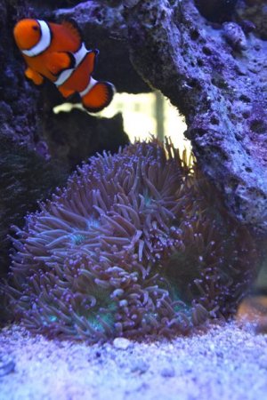 IMG_6460.jpg