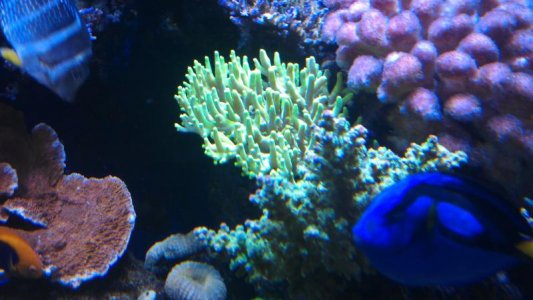 IMAG0210.jpg