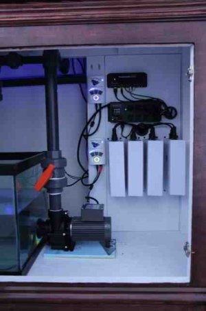 ImageUploadedByTapatalk HD1367362090.783057.jpg