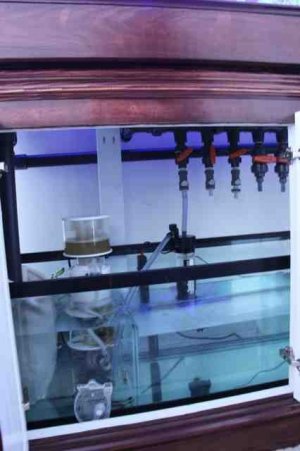 ImageUploadedByTapatalk HD1367362120.493337.jpg