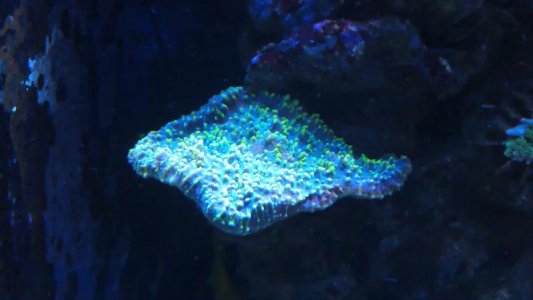 IMAG0318.jpg