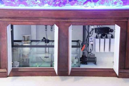 ImageUploadedByTapatalk HD1367362178.583066.jpg