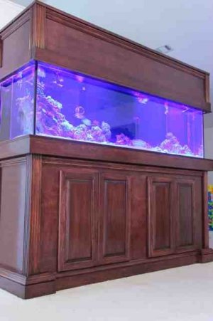 ImageUploadedByTapatalk HD1367362213.831633.jpg