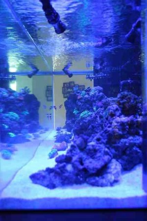 ImageUploadedByTapatalk HD1367362230.773907.jpg